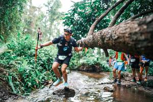 BIB: 
                            <button type="button" onclick="openModal(25375642)" class="btn btn-primary btn-sm float-right btn-popup" data-toggle="modal" data-target=".modal-high-quality">
                        <i class="fas fa-shopping-cart"></i> Add to Cart
                    </button>
                                            <button type="button" onclick="isThisMe(25375642, true)" class="btn btn-success btn-sm float-right btn-popup btn-isme hidden" data-toggle="tooltip" data-placement="bottom" title="นี่คือรูปของคุณใช่ไหม คลิกที่นี่เพื่อเอาเข้าอัลบั้ม">
                        <i class="fas fa-plus"></i> Add to album
                    </button>
                    <button type="button" onclick="isThisMe(25375642, false)" class="btn btn-warning btn-sm float-right btn-popup btn-isnotme hidden">
                        <i class="fas fa-ban"></i> Remove from album
                    </button>